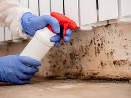 Professional Mold Remediation in Yermo, CA